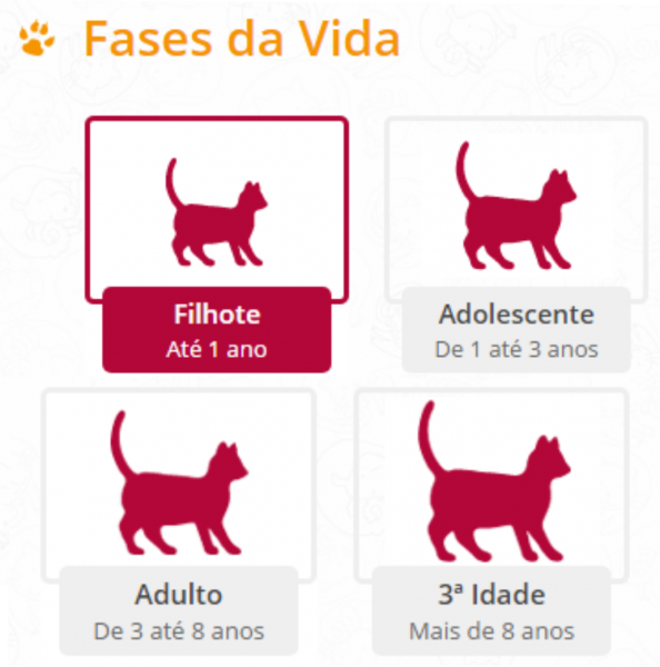 Fases da Vida do Gato
