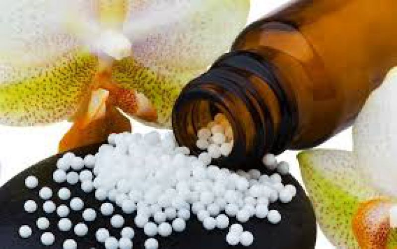 Homeopatia para pets