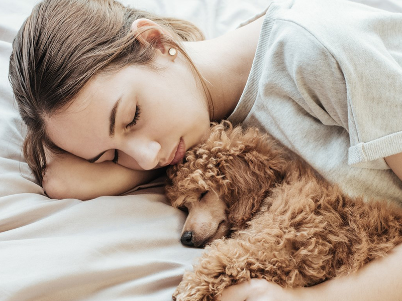 Dicas para criar o ambiente de sono perfeito para o seu pet