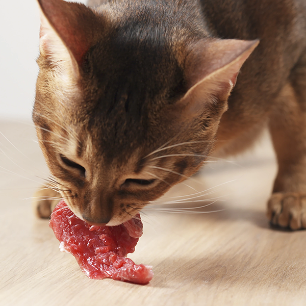 Um bifinho, por favor?