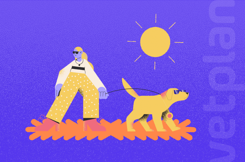 Calor e pets: cuidados com o seu pet durante o verão