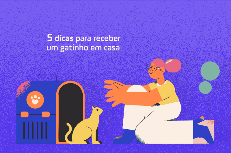 5 dicas para receber um gatinho em casa