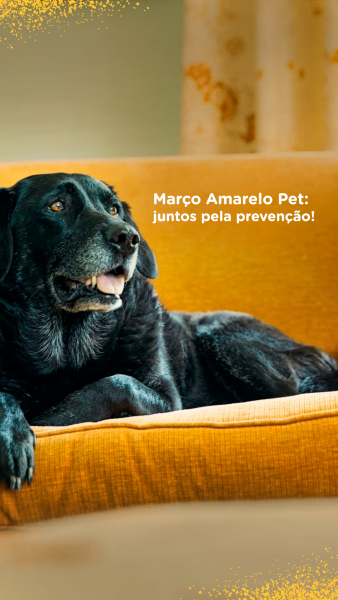 Março Amarelo Pet: juntos pela prevenção!