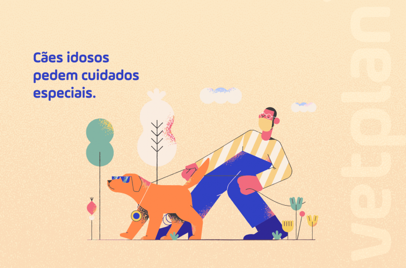 Cães idosos pedem cuidados especiais